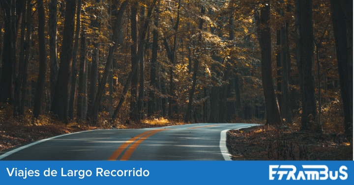 viajes bus planes otoño