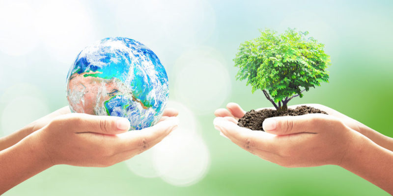transporte ecológico